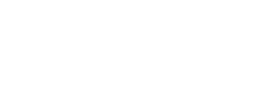 Microsoft Flight Simulator Logo